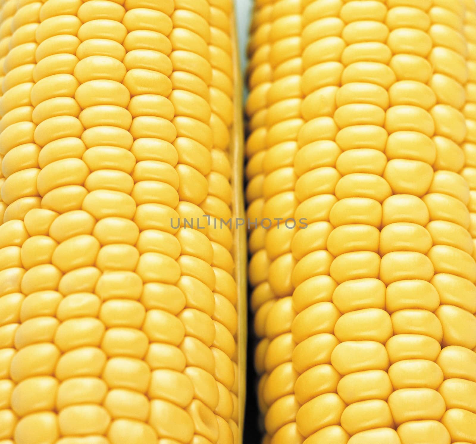 Background corn