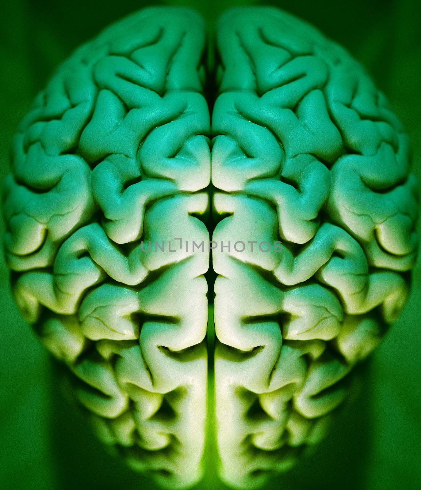 Human brain by ozaiachin