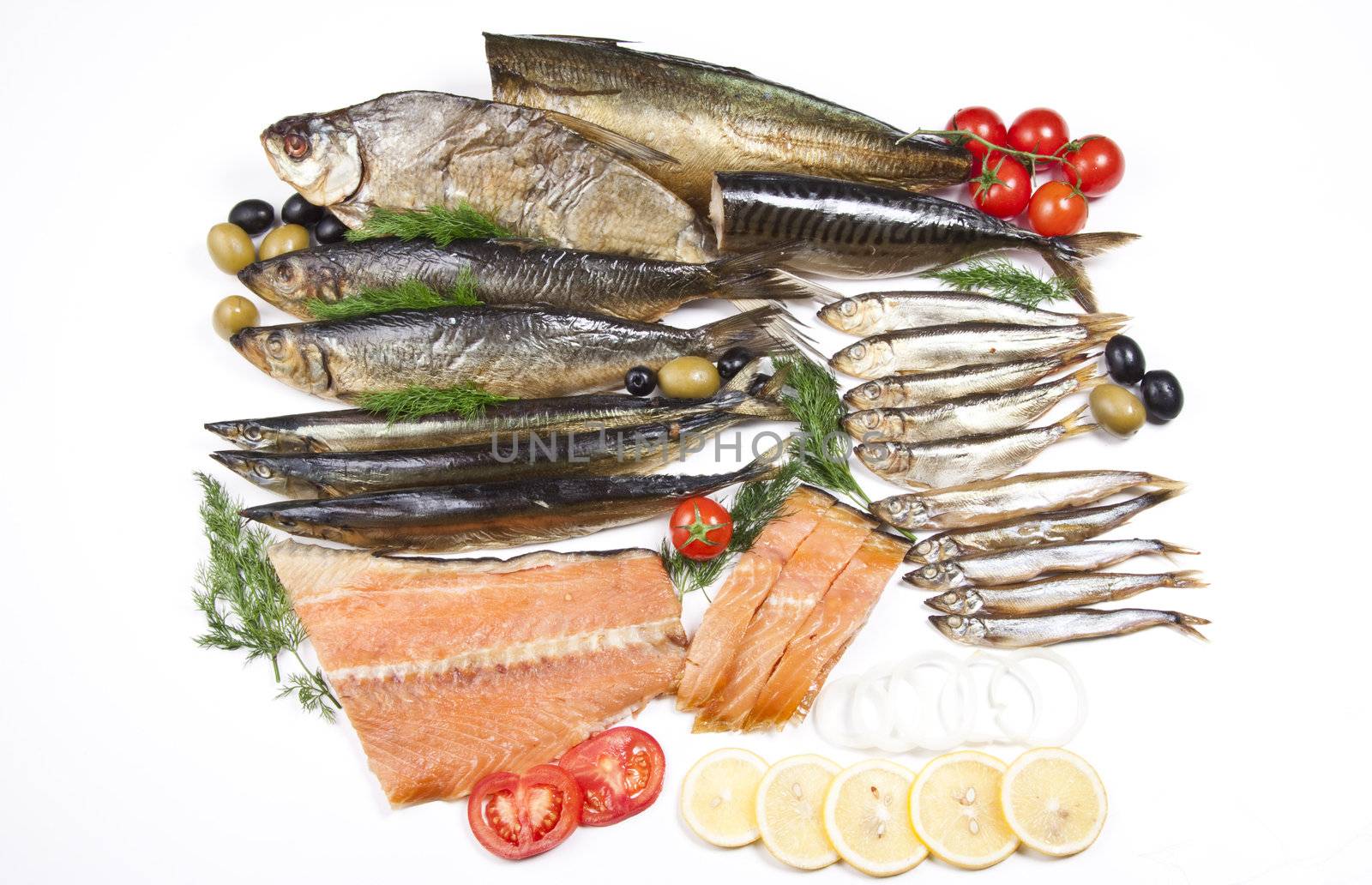 great composition of different fish