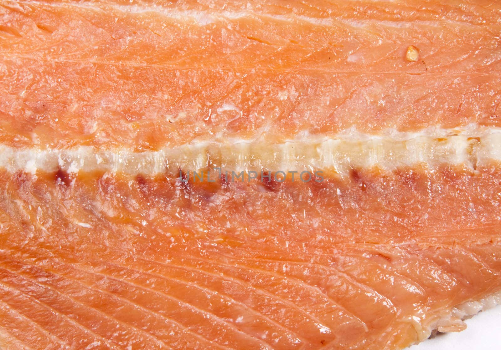 Red fish background
