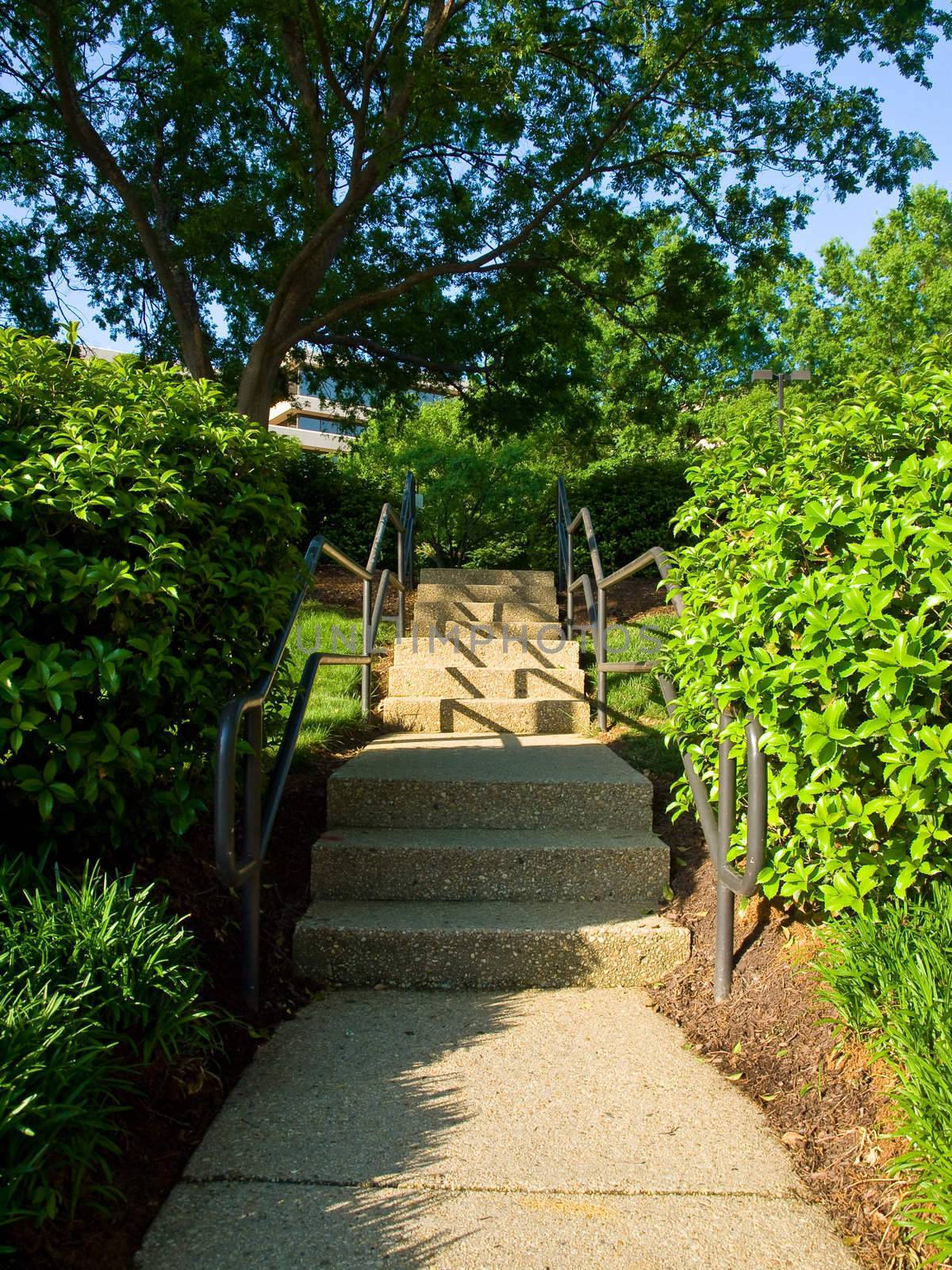A Concrete Stairway in a Landscaped Park