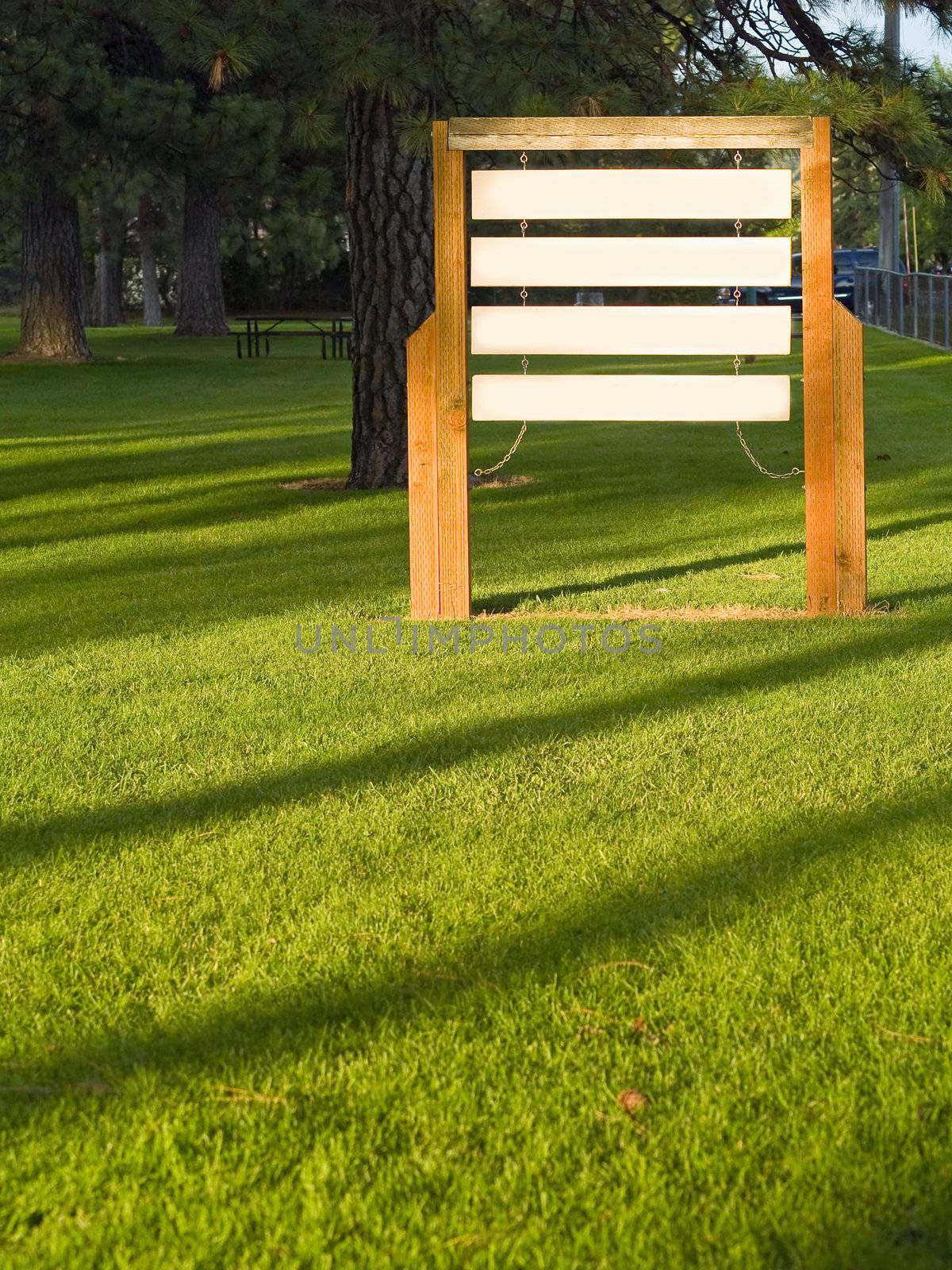 Blank Wooden Signs in a Sunlit Park