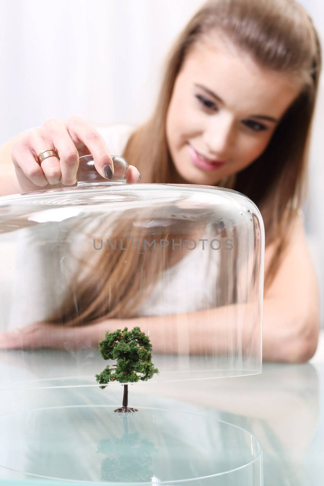 Girl covers a small artificial tree on the table, Ecological concept