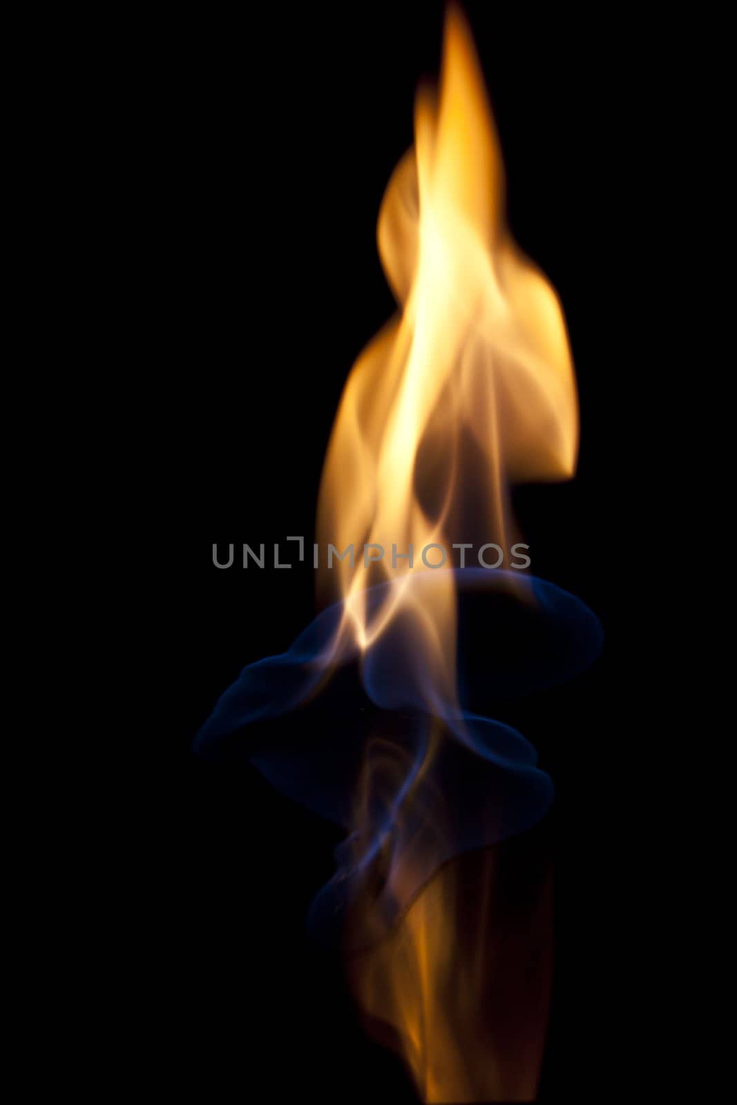 small camp fire against a dark background