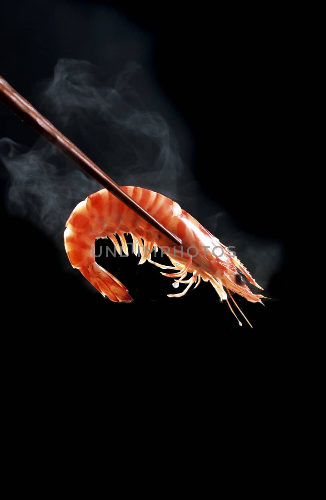 single hot shrimp isolated on black background