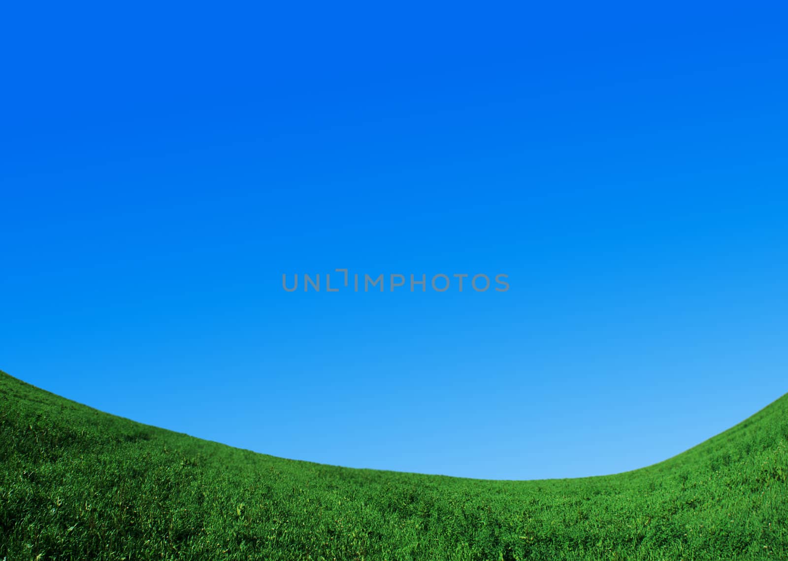 green field and blue sky