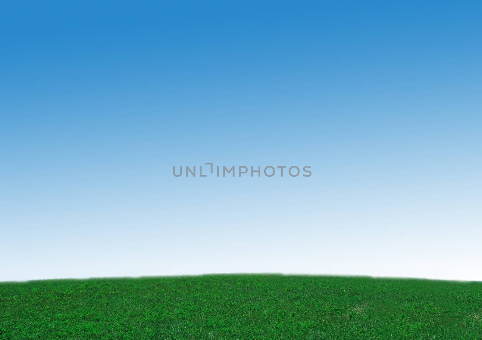 fresh green grass with bright blue sky