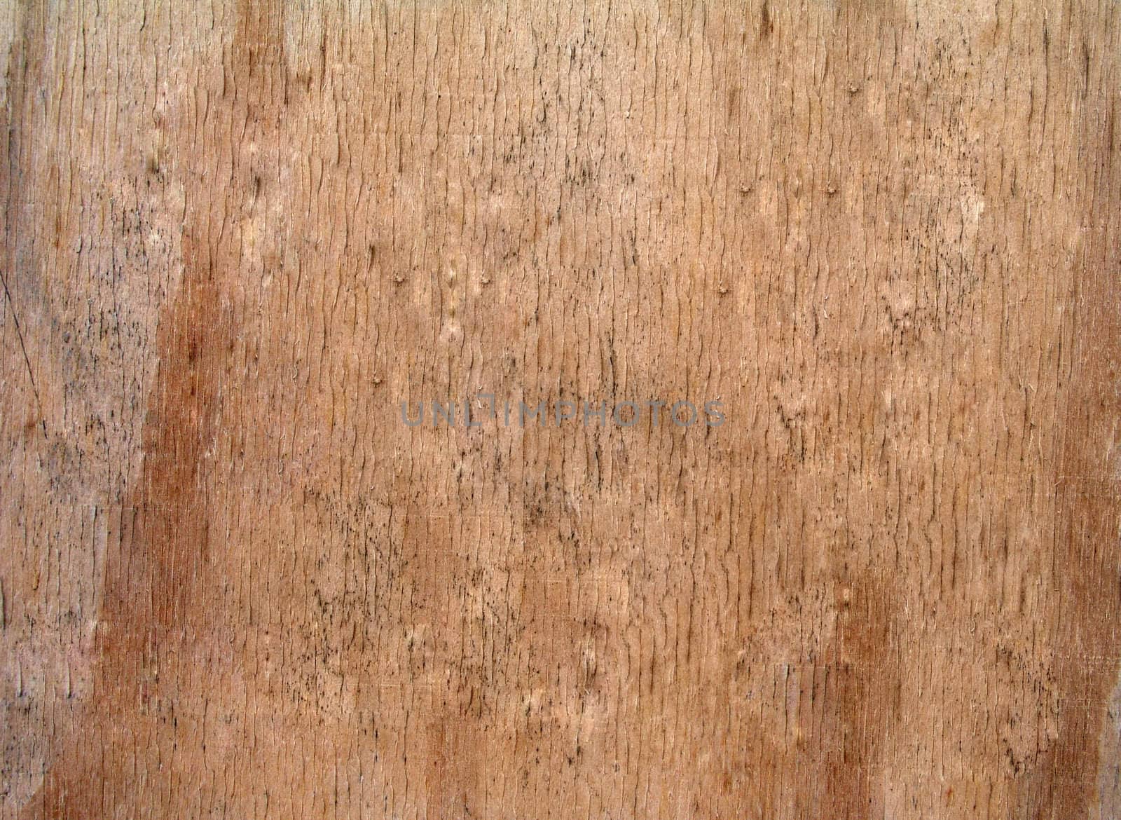 Old wood texture can be used as background