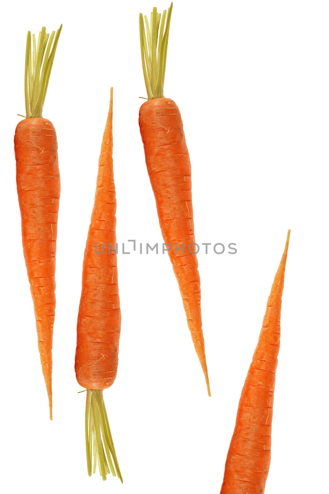 Carrot isolated on a white background