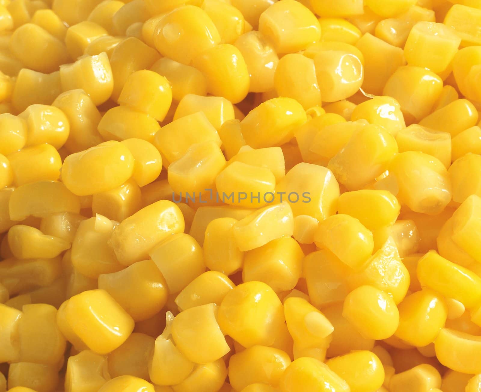 Sweet corn background