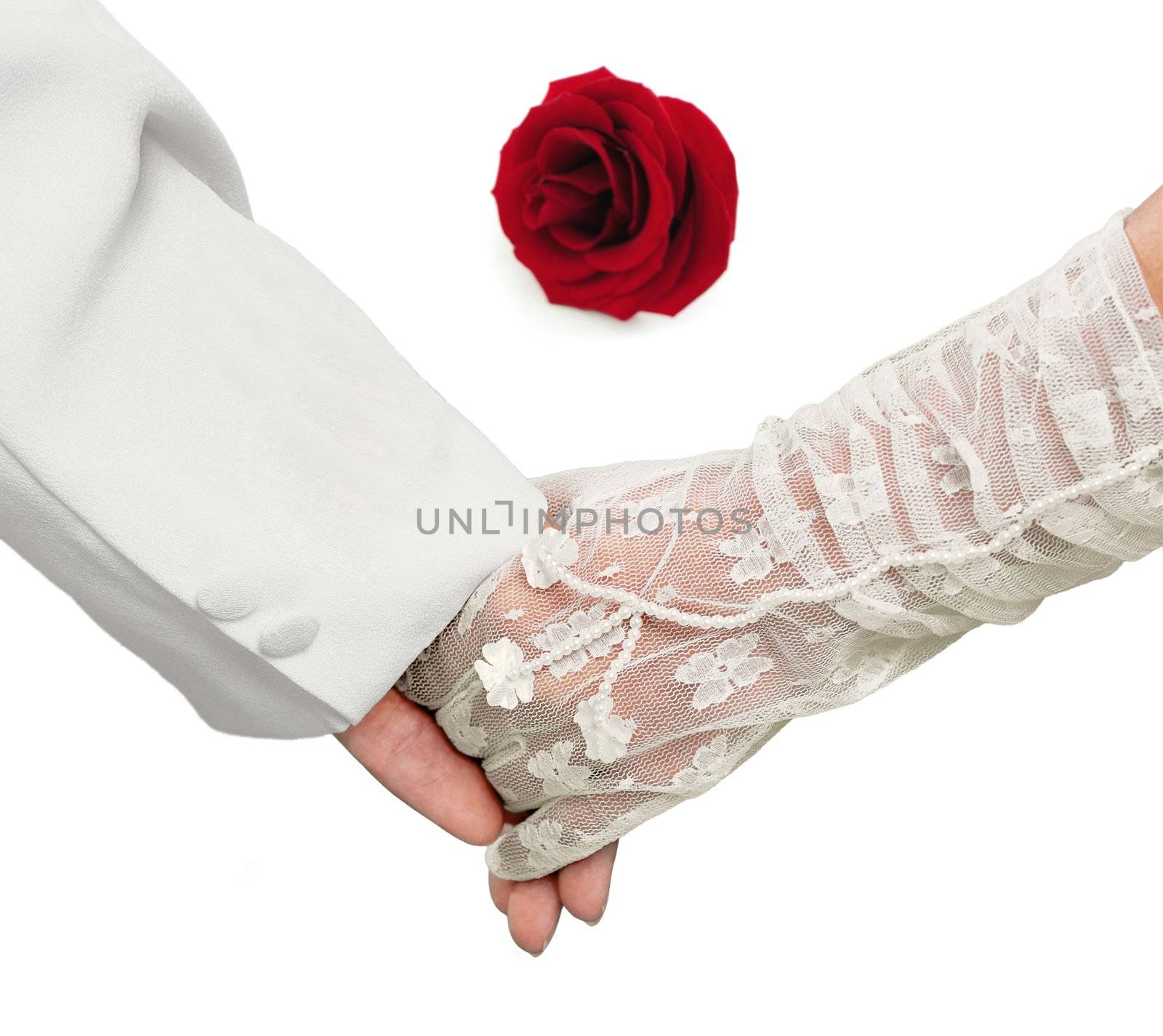 Close-up Holding Hands with red rose