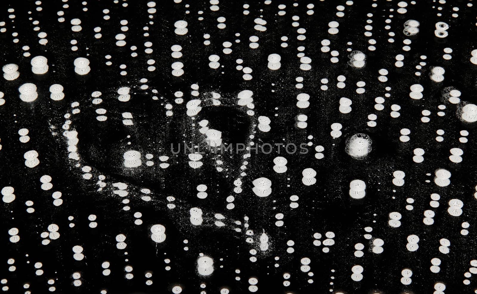 milk drops on black