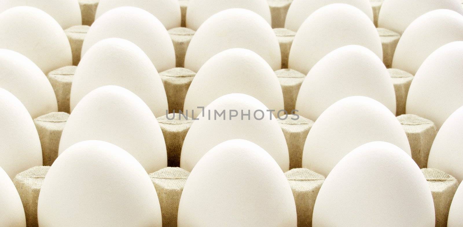 Chicken egg background by ozaiachin