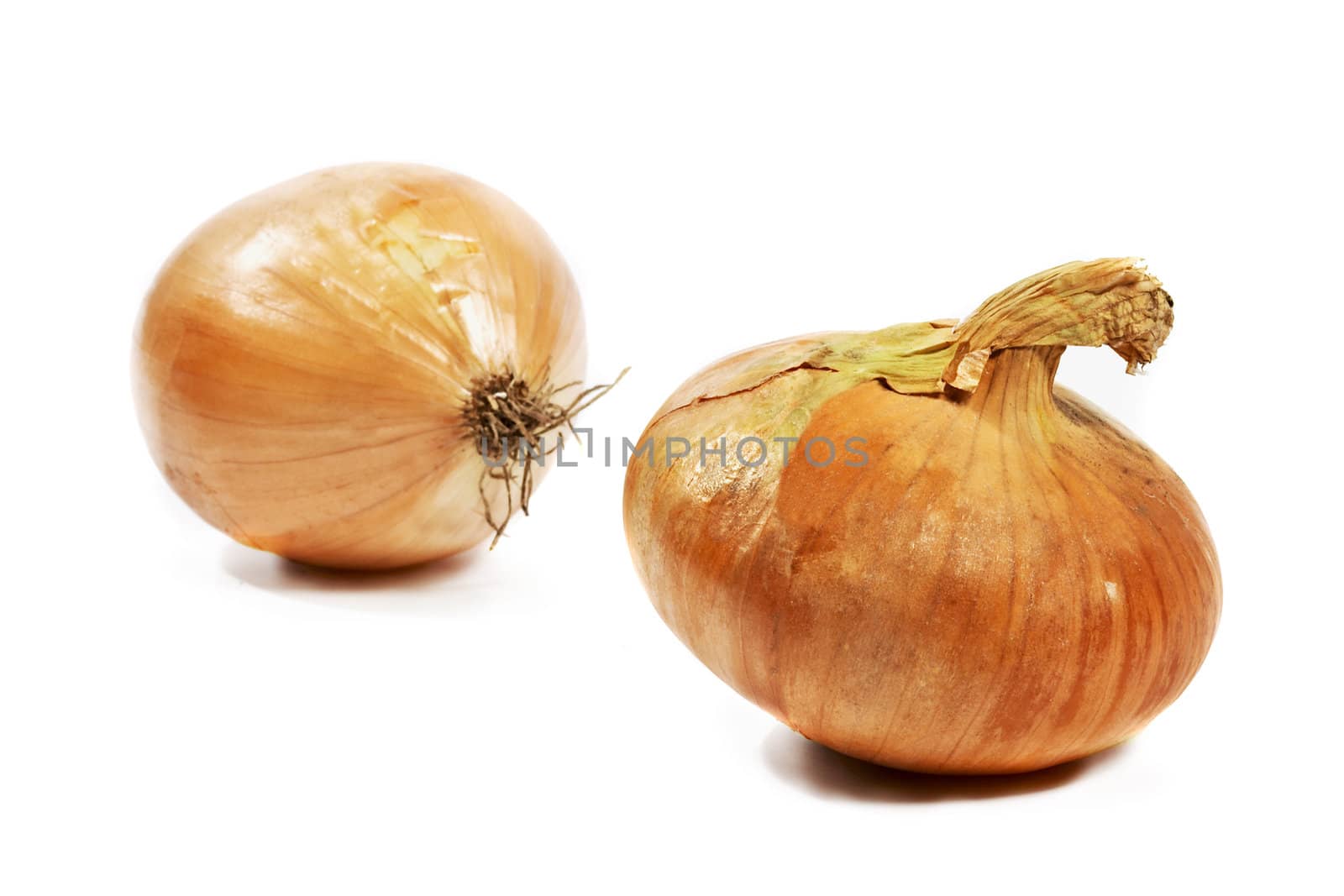 Onion on white background