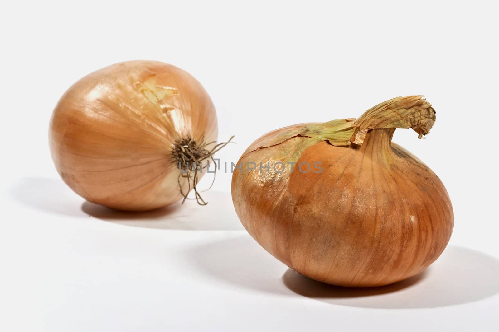 two onion isolated on a white background