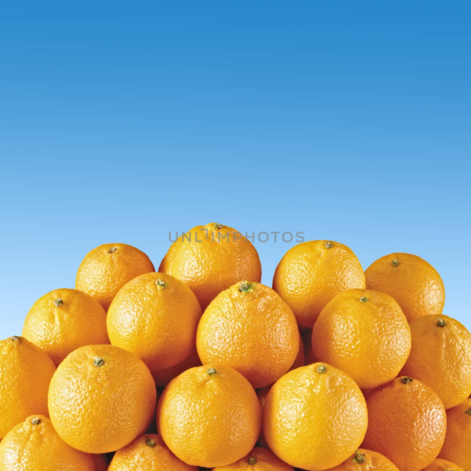 fresh orange tangerines with blue sky