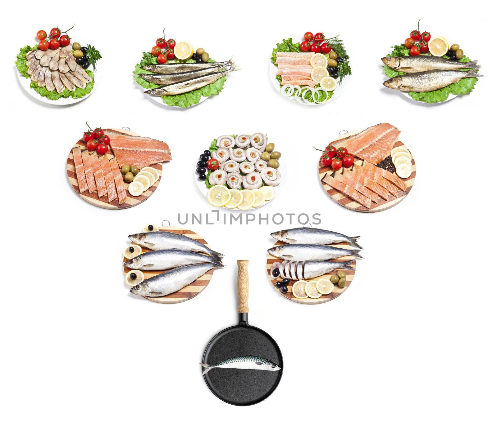 sea food background
