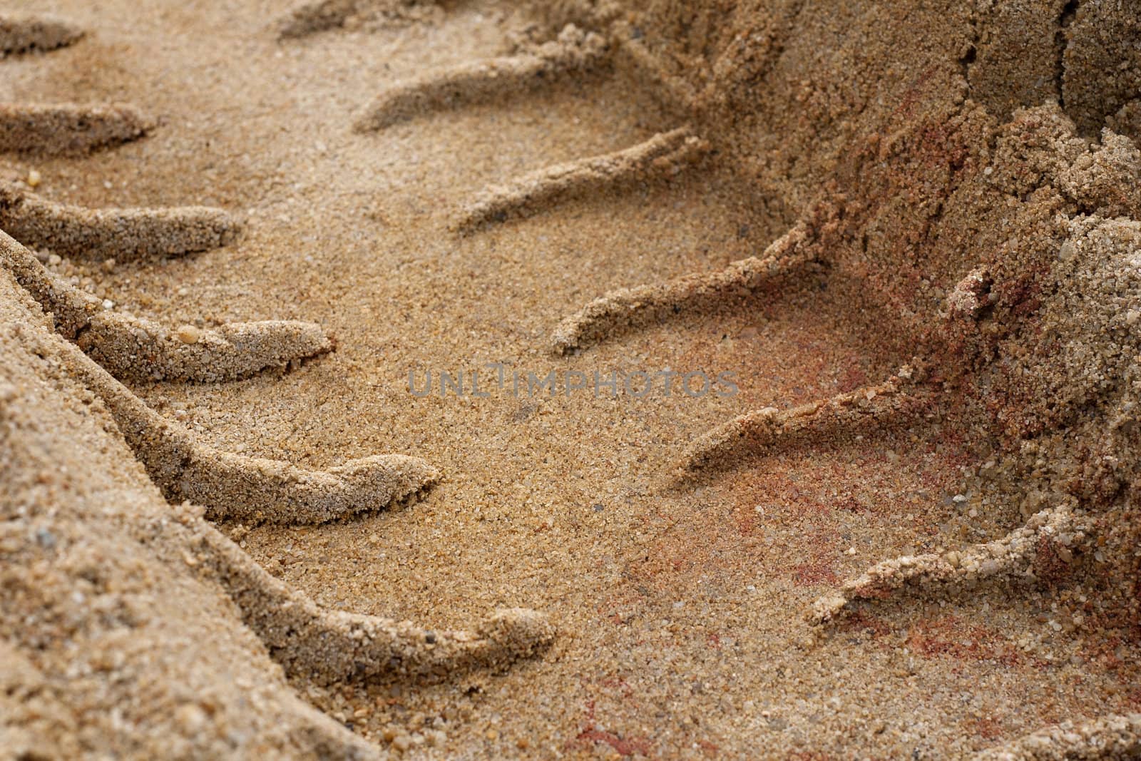 Tire Tracks in the Sand