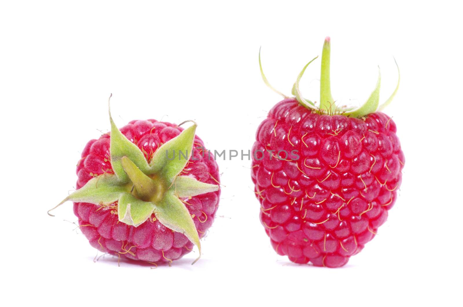 fresh raspberry closeup isolated on white background