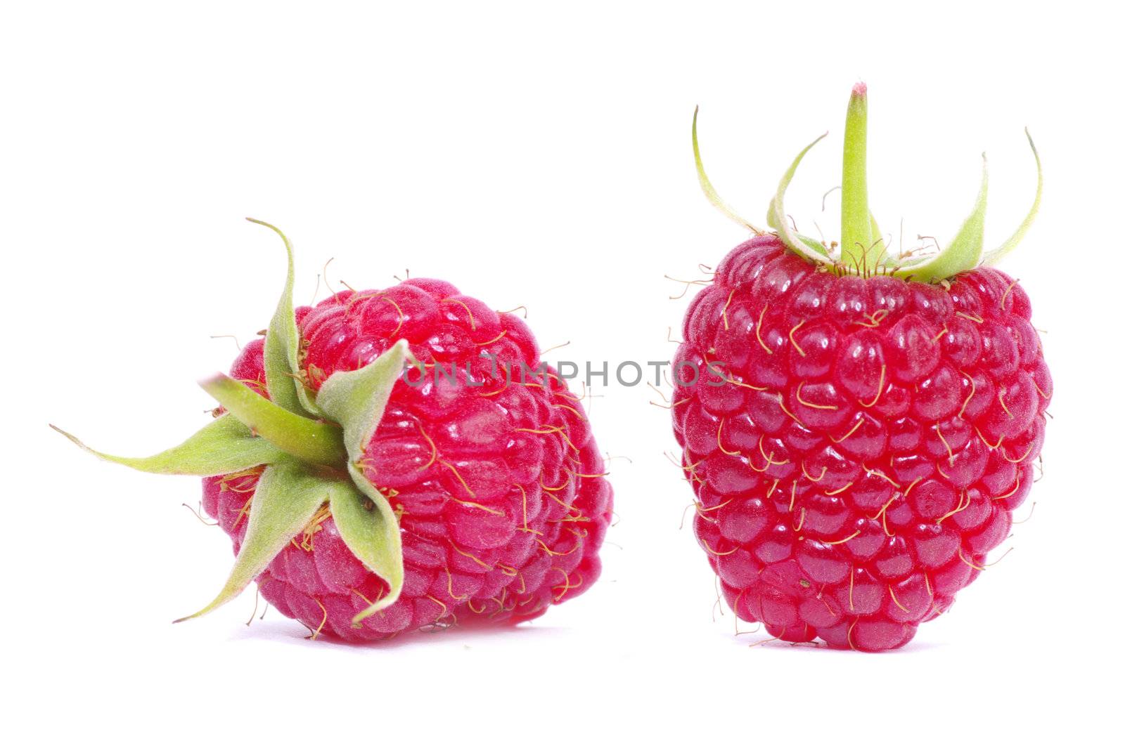 fresh raspberry closeup isolated on white background