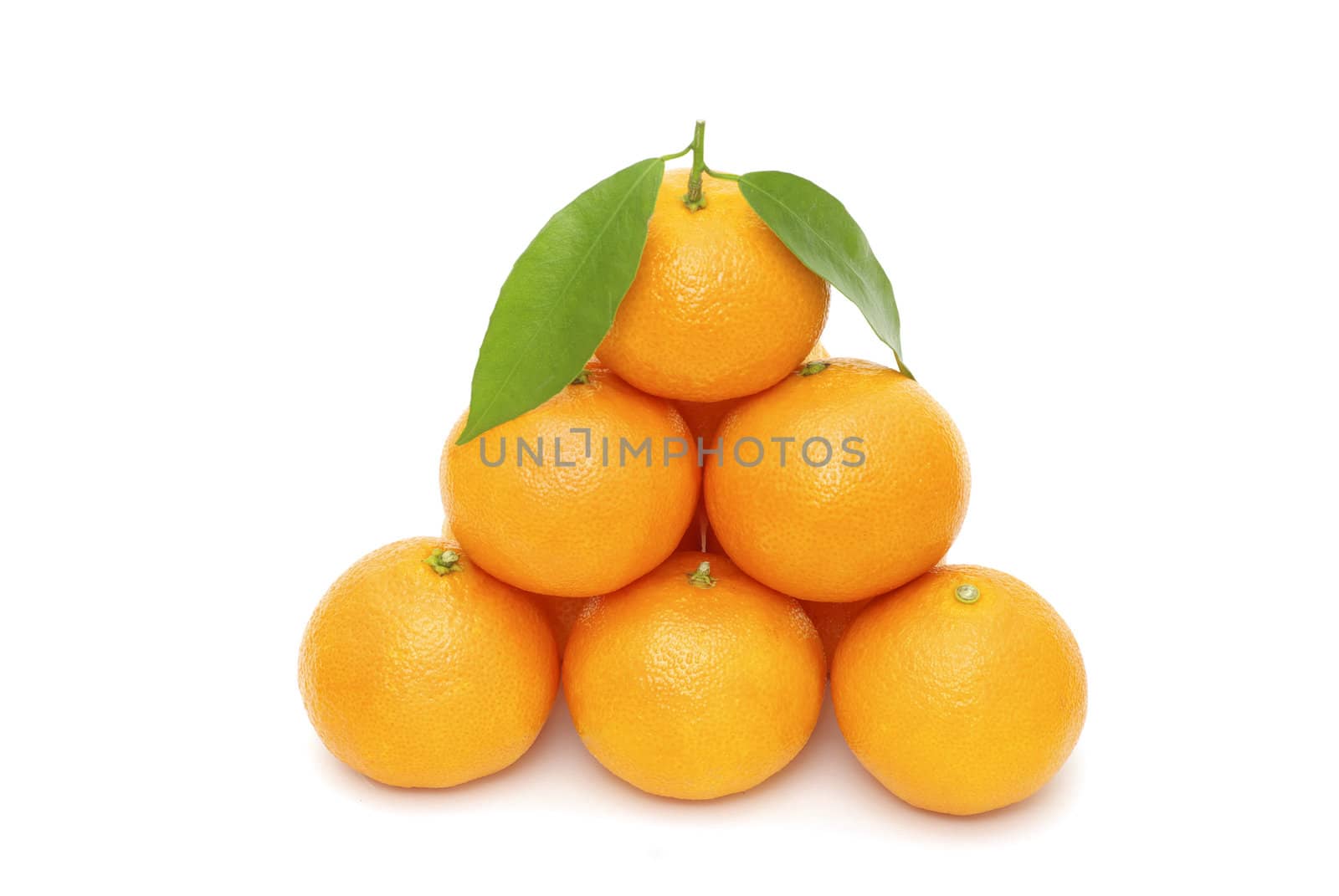  tangerine isolated on a white background