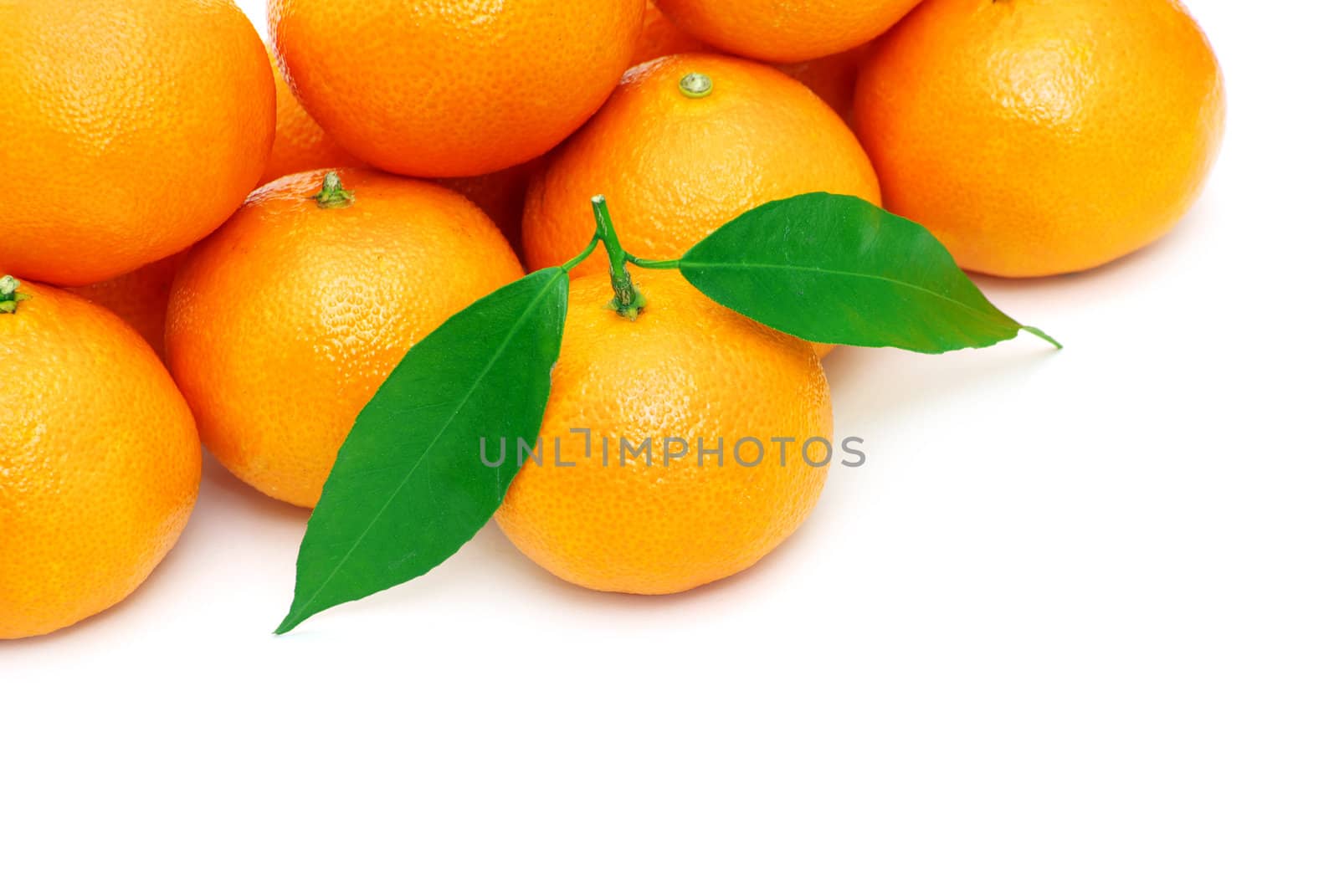  tangerine isolated on a white background