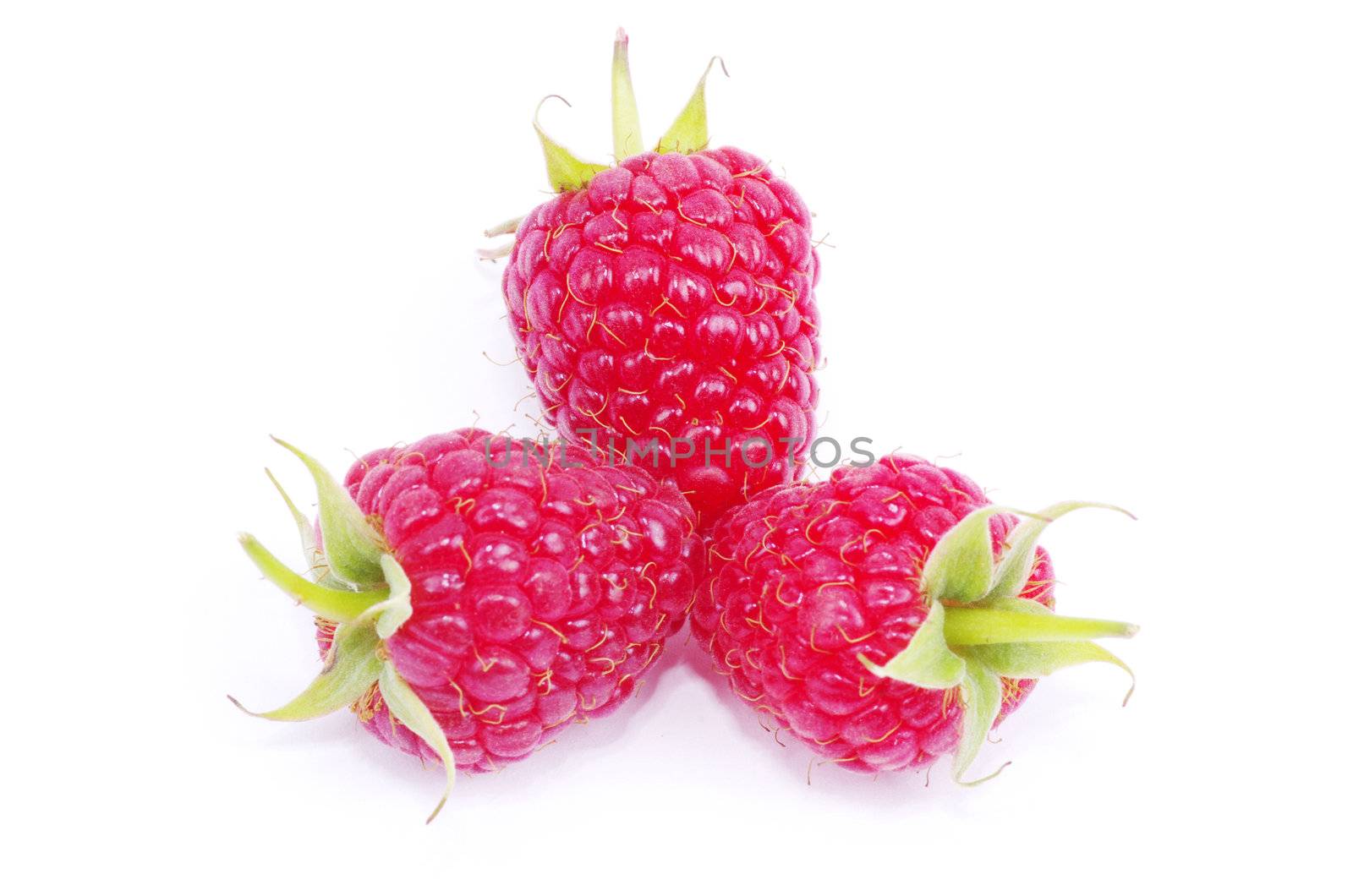 fresh raspberry closeup isolated on white background