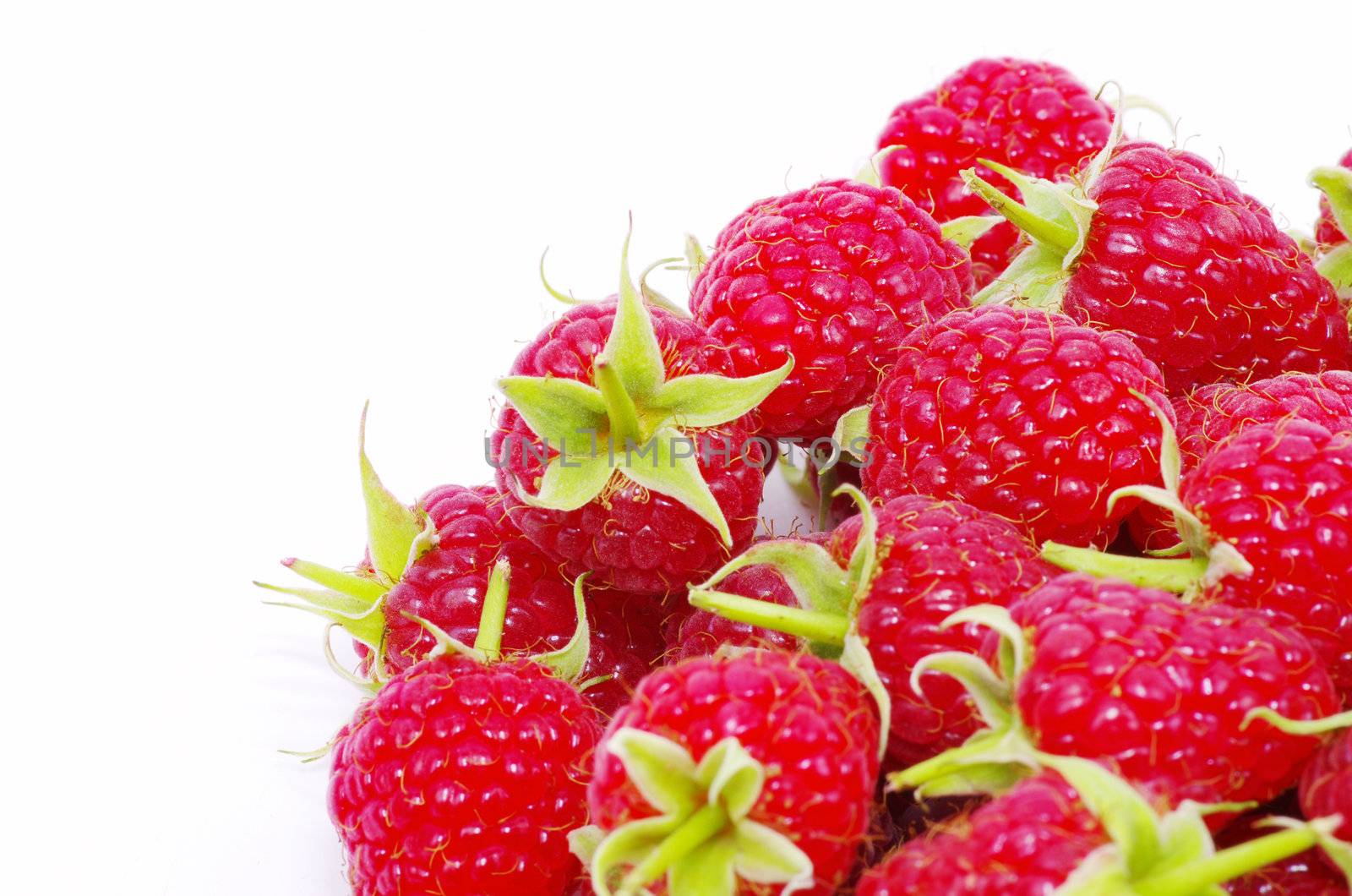 fresh raspberry closeup isolated on white background