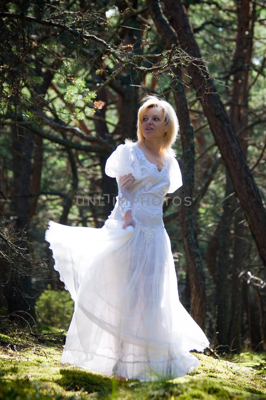 gorgeous bride in forest in summer season