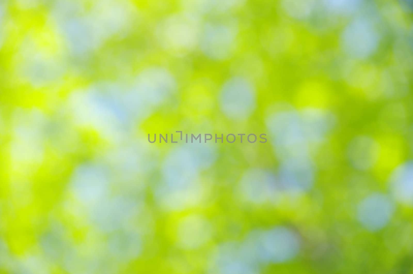 Natural green a blurred background