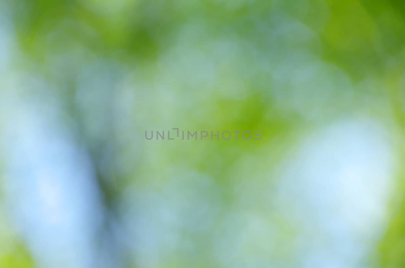 Natural green a blurred background