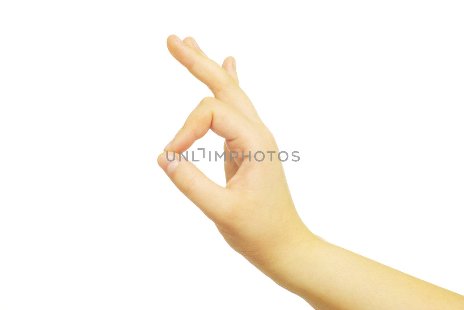  hand isolated on a white