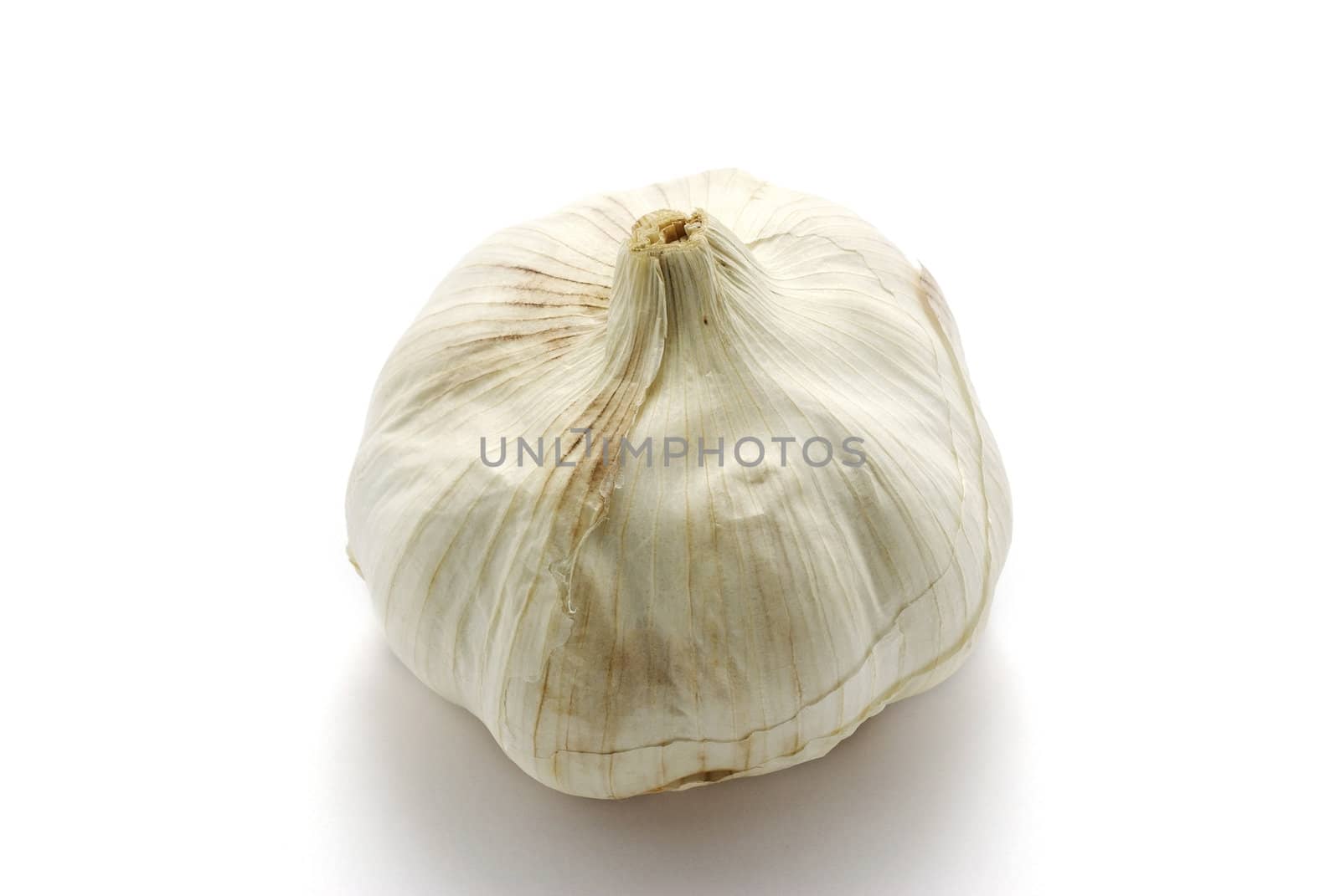 Garlic head isolated on white background with shadow.