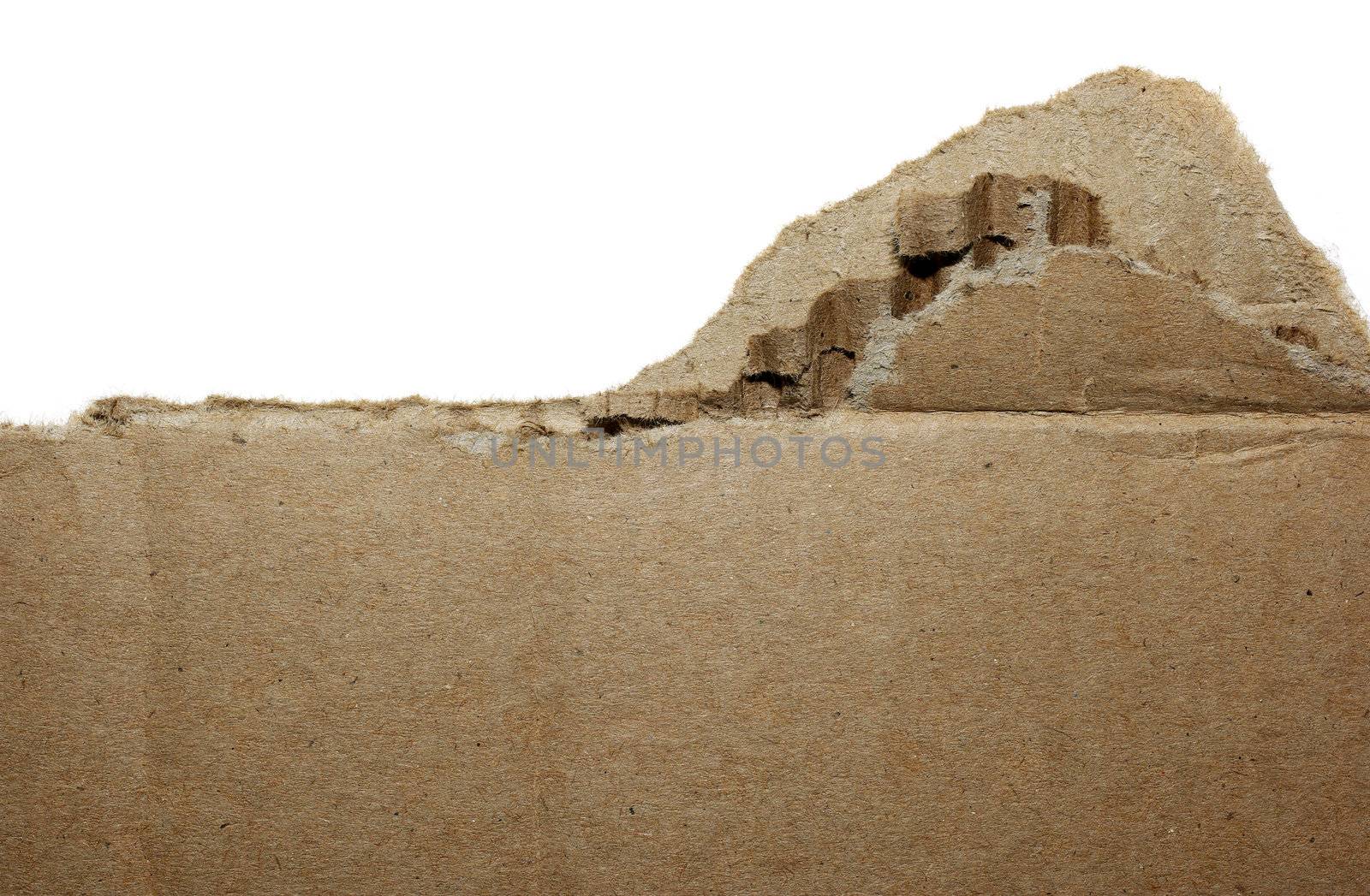 Cardboard torn with empty space for your design isolated on white background.