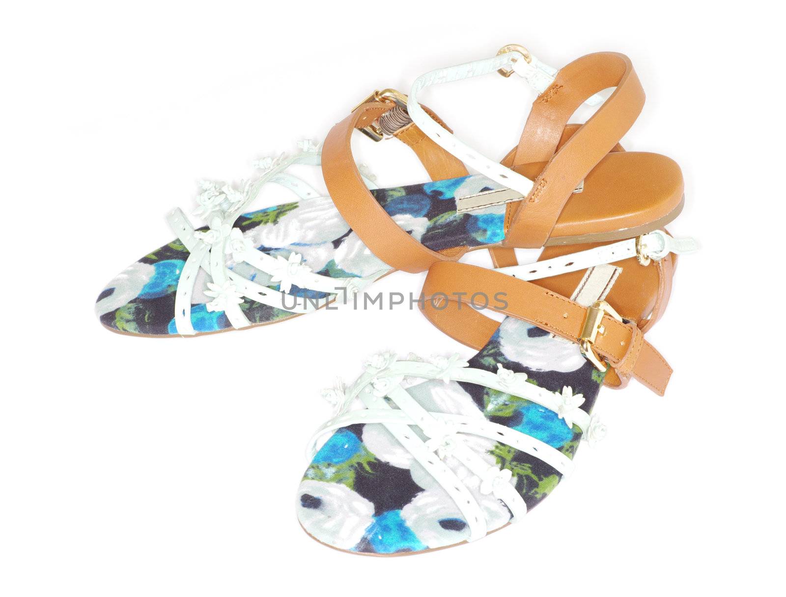 female sandal on a white background