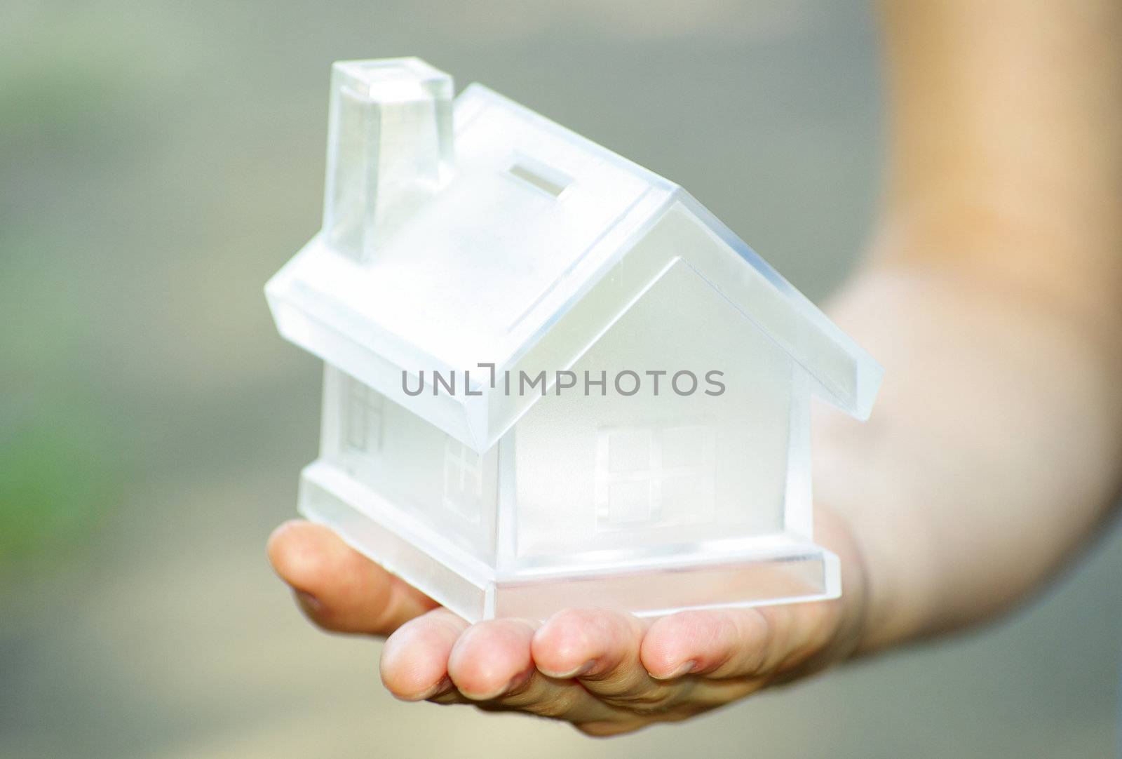 The house in human hands
