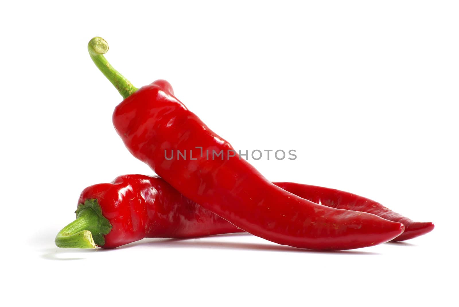 fresh red hot pepper on a white 