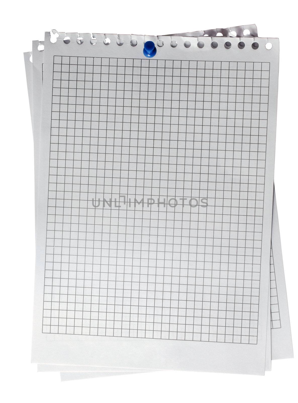 Pinned with blue thumbtack notepad plaid pages. Isolated on whit by borodaev