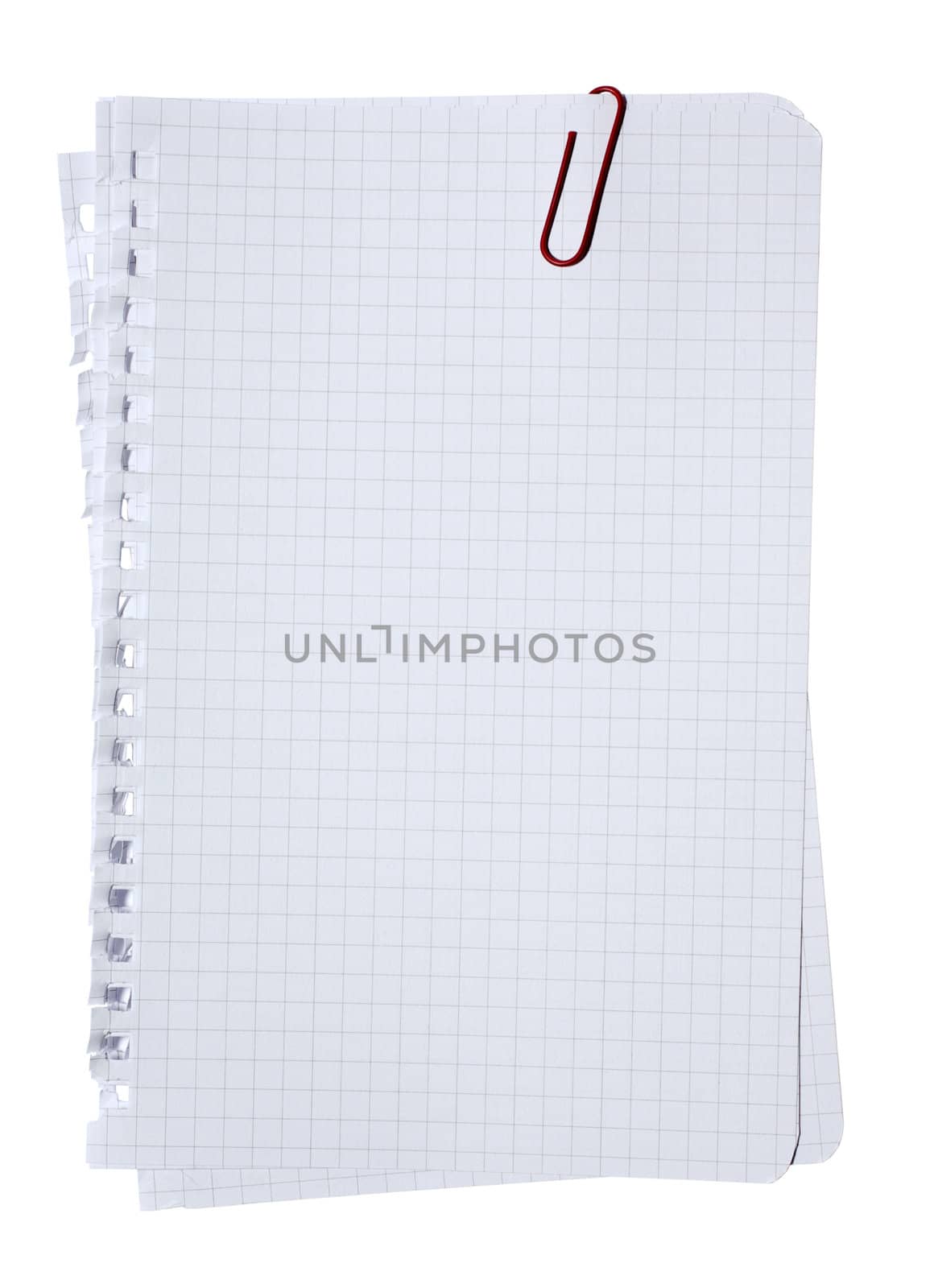 Checked pages stacked with red clip isolated on white background. Clipping path.