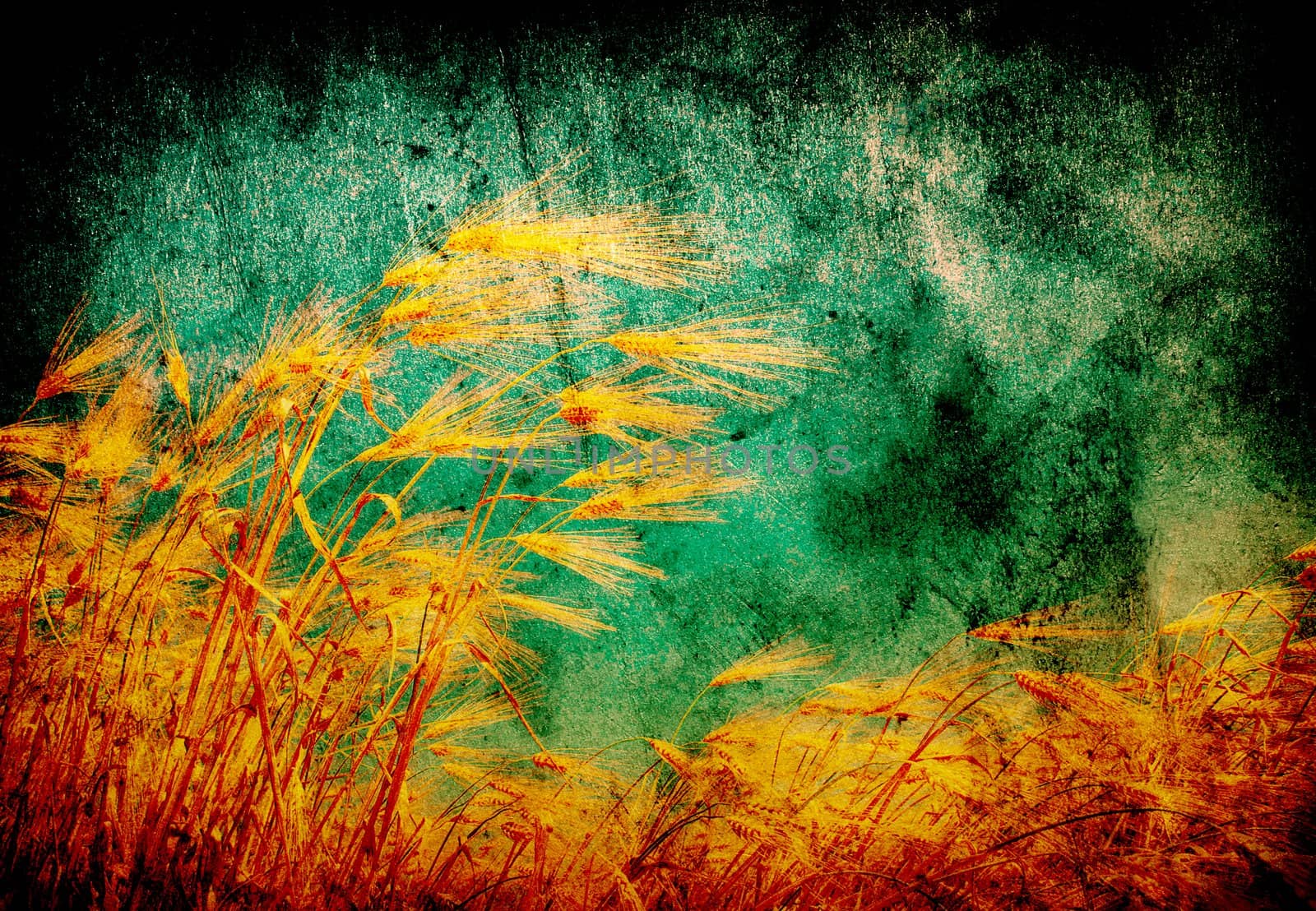 grunge wheat background with space for text or image