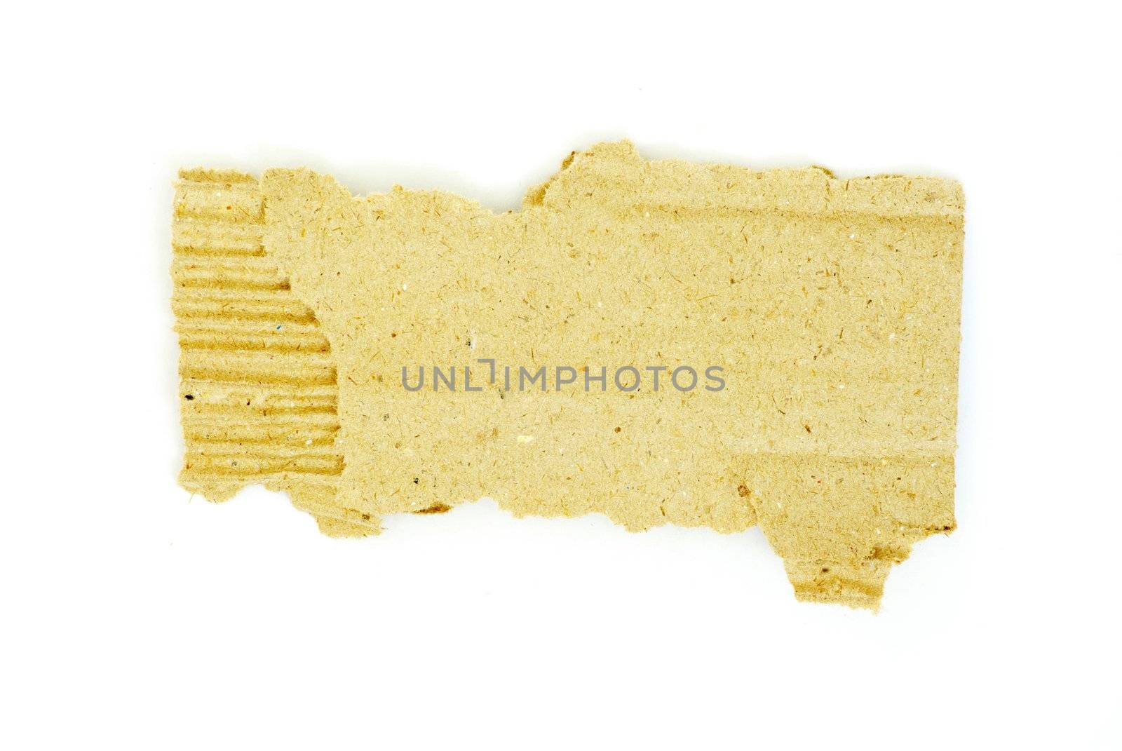 Ripped piece of cardboard on white