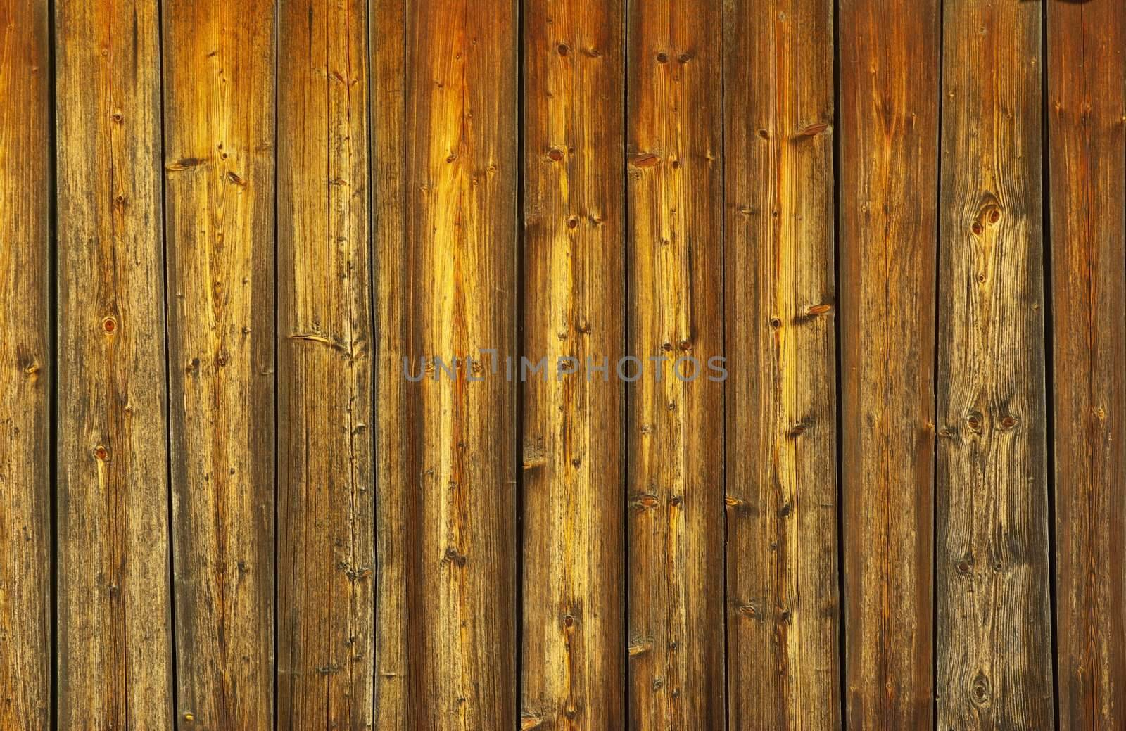  brown wood texture with a natural patterns