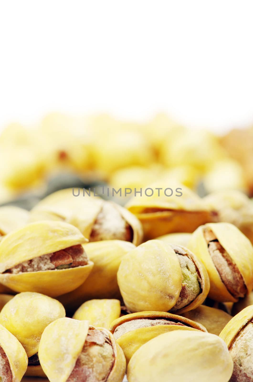 nuts collection isolated on background