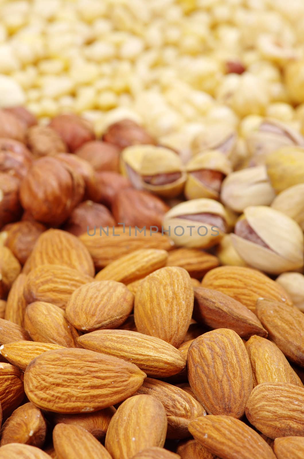 various nuts on a background