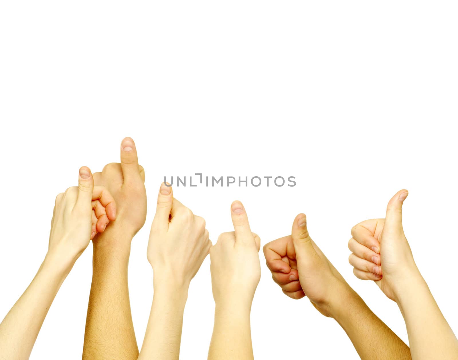 Many hand lifted up on white background
