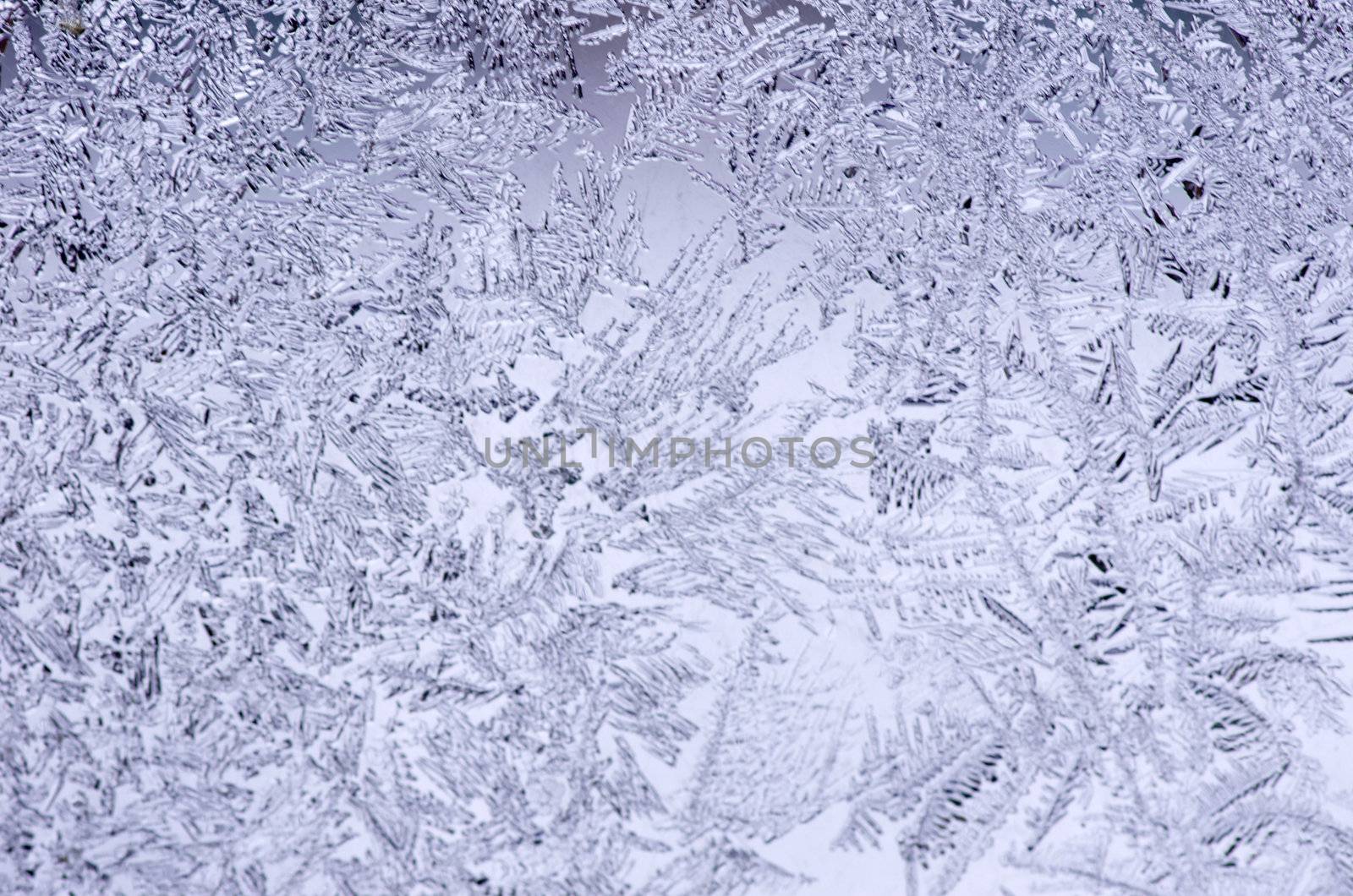 Frosty natural pattern on winter window