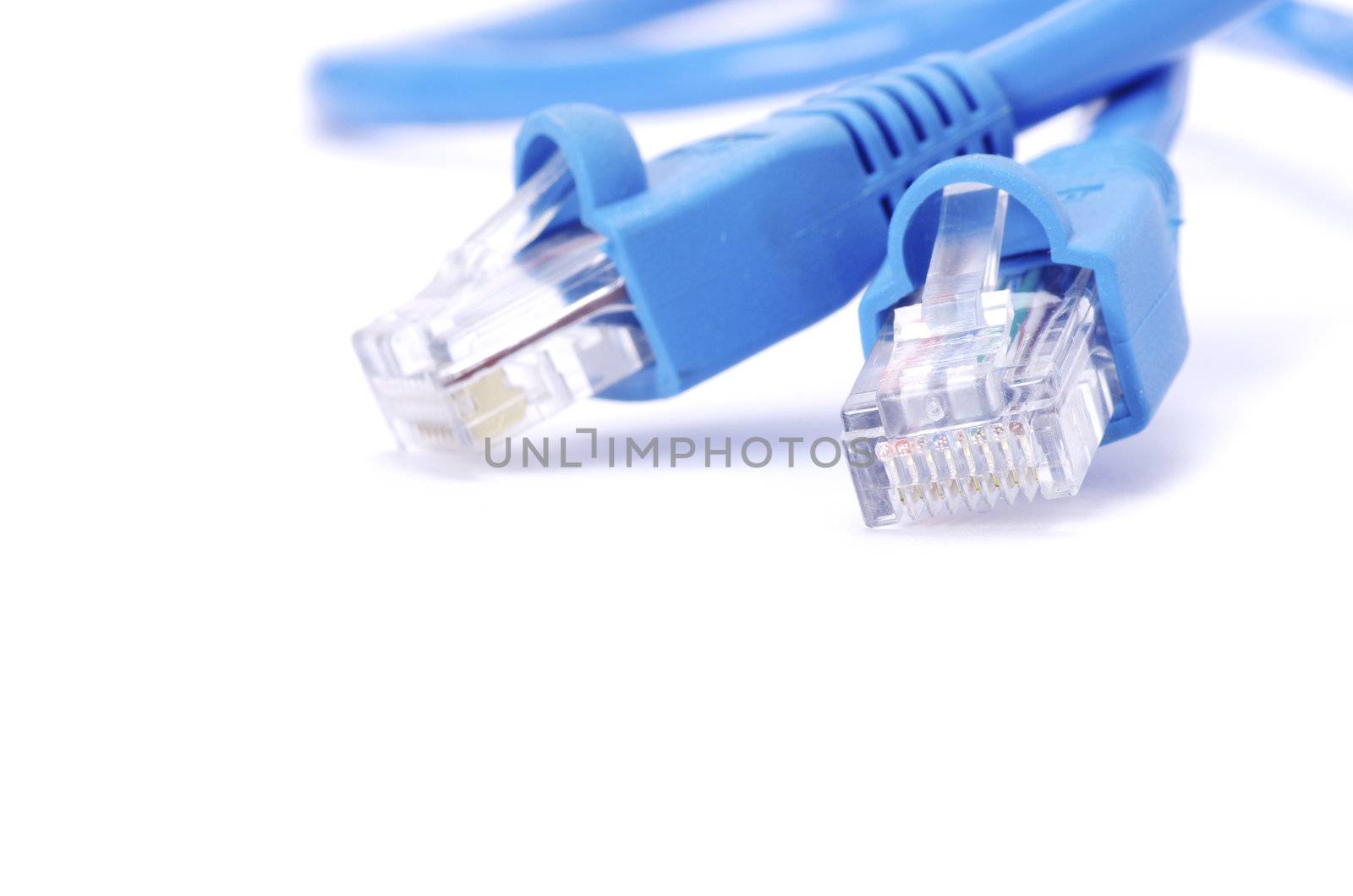  Macro shot of network connection plug
