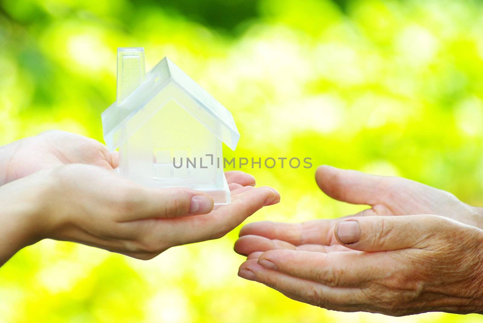 The house in human hand