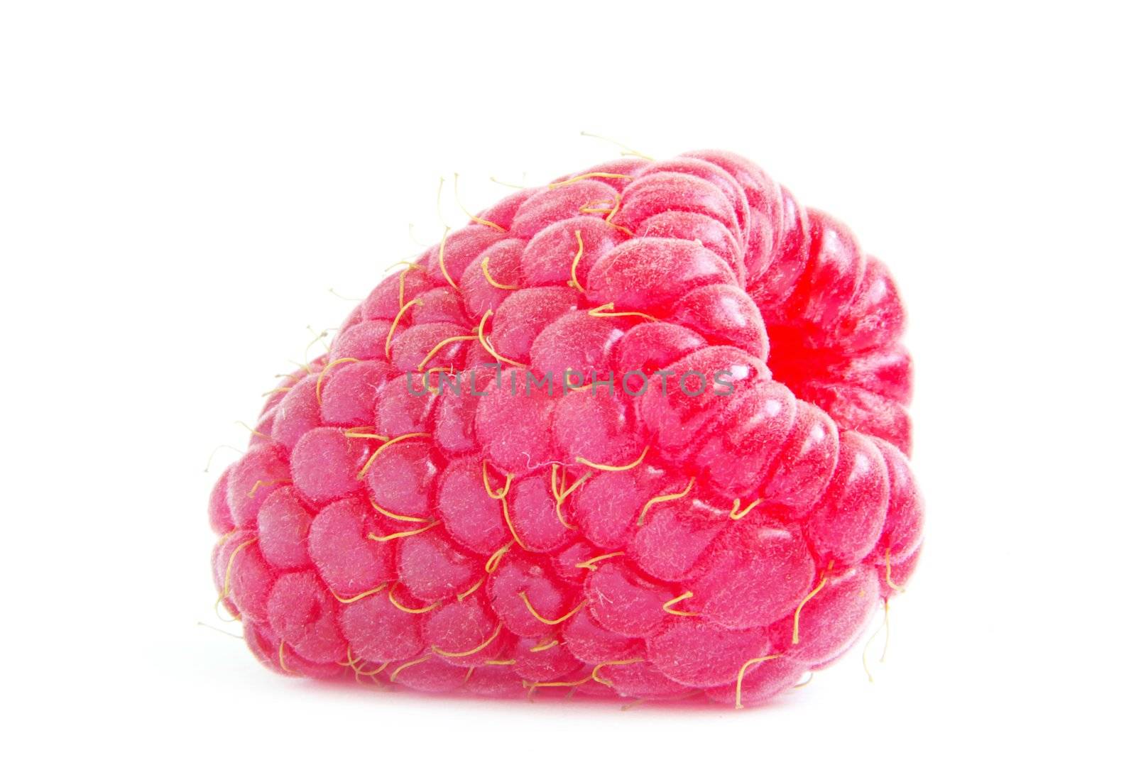 Ripe raspberry isolated on a white background