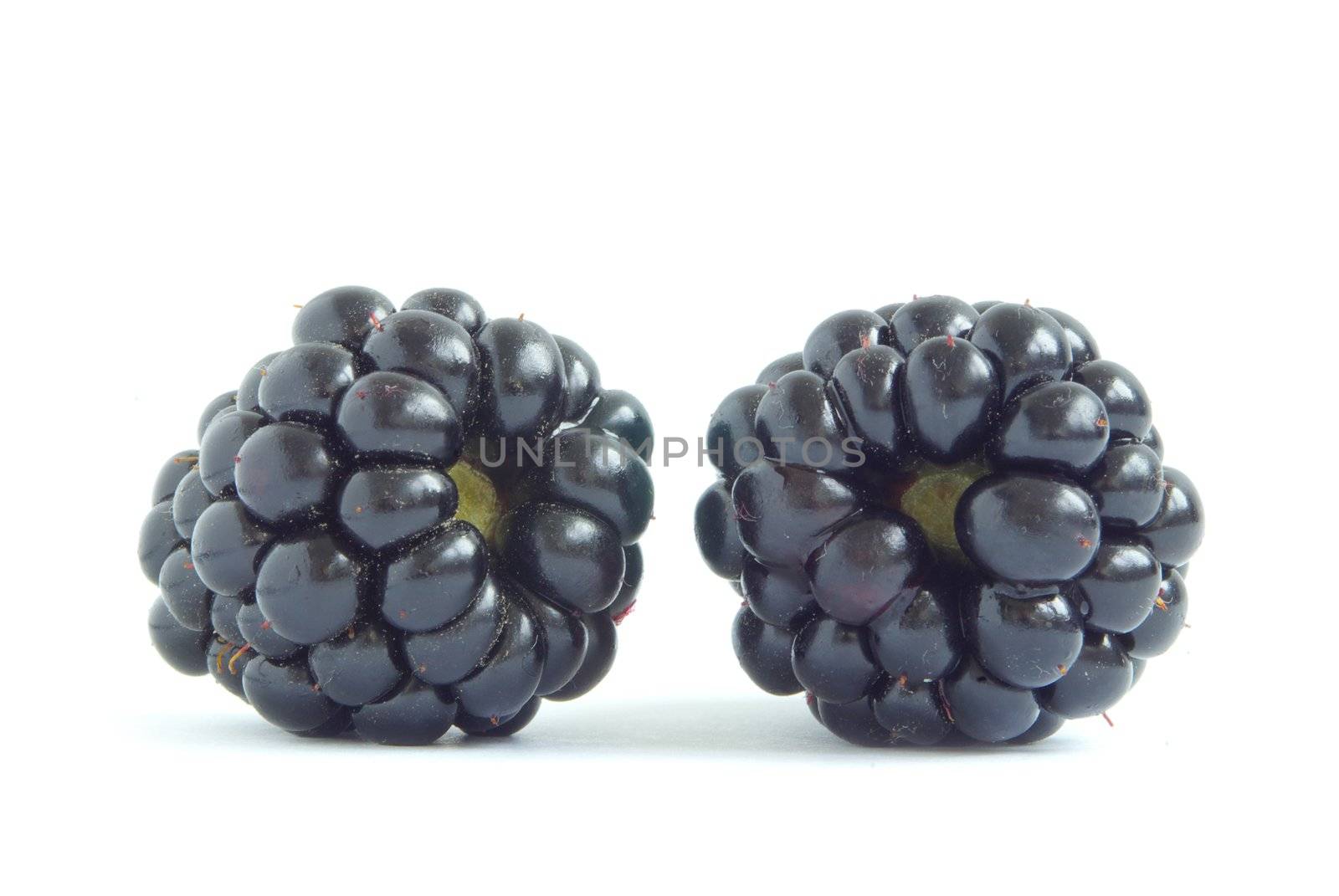 blackberry isolated on white background
